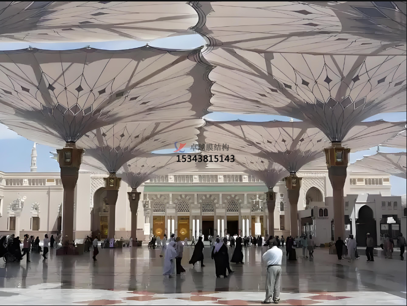 PTFE網(wǎng)格膜，有哪些類別呢？